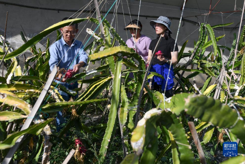 迎新跳槽网投彩金网